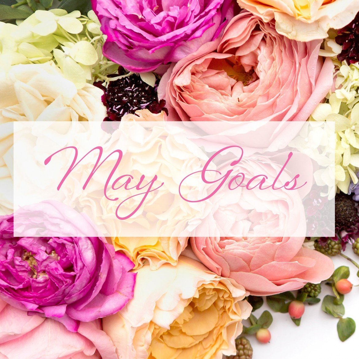 May-goals