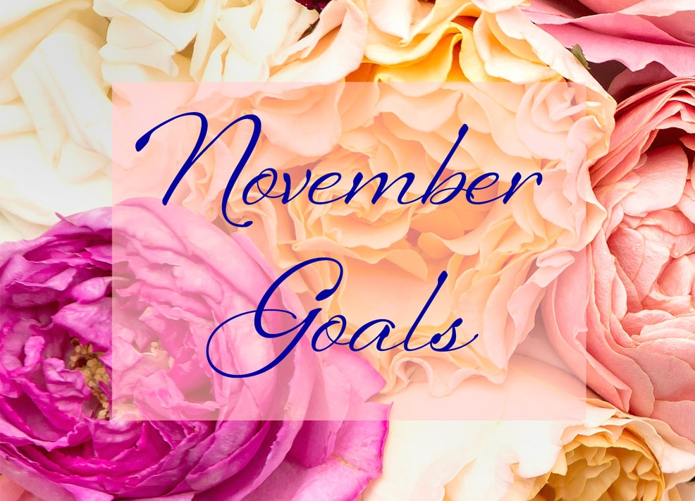 November-Goals