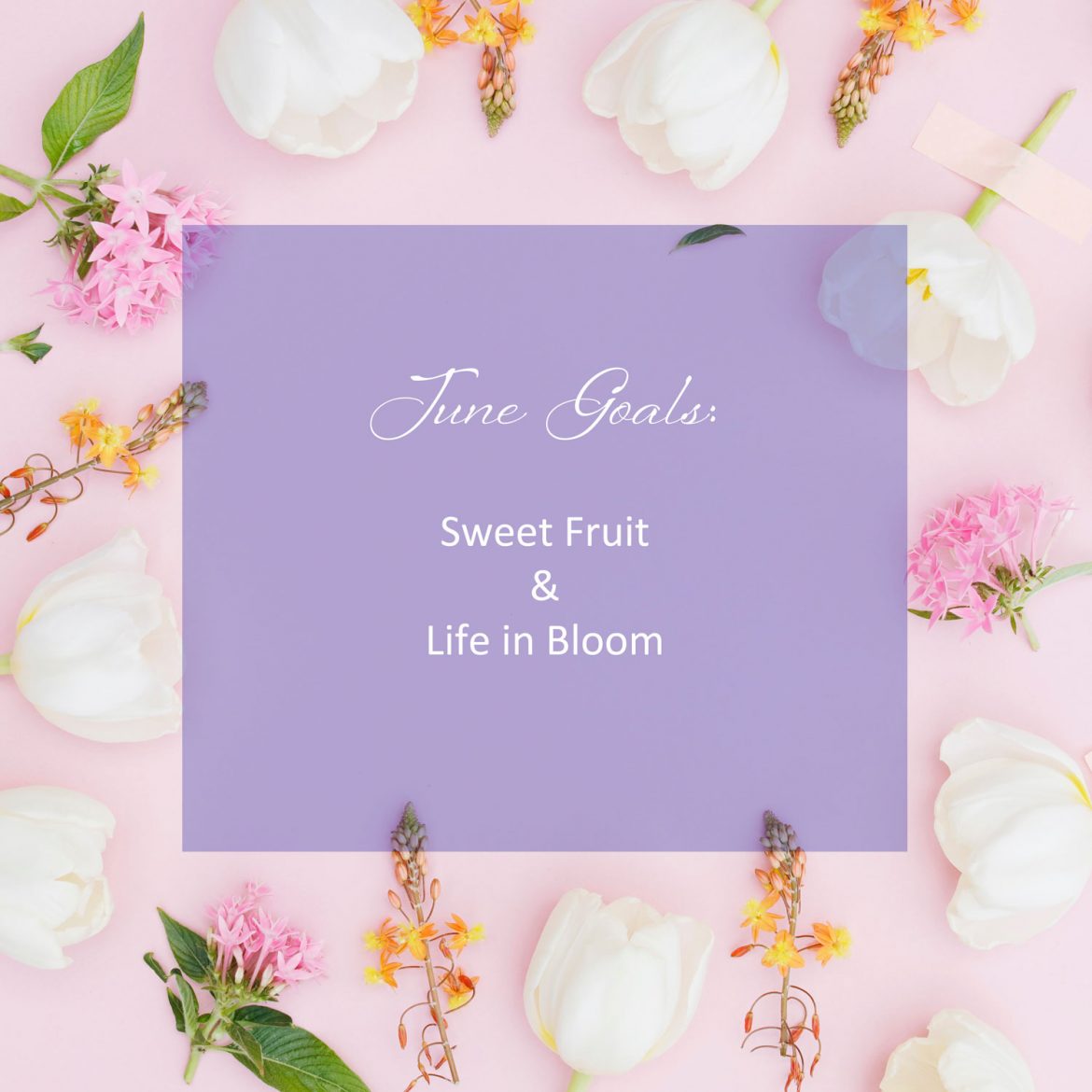 June_Goals_summer-blooms